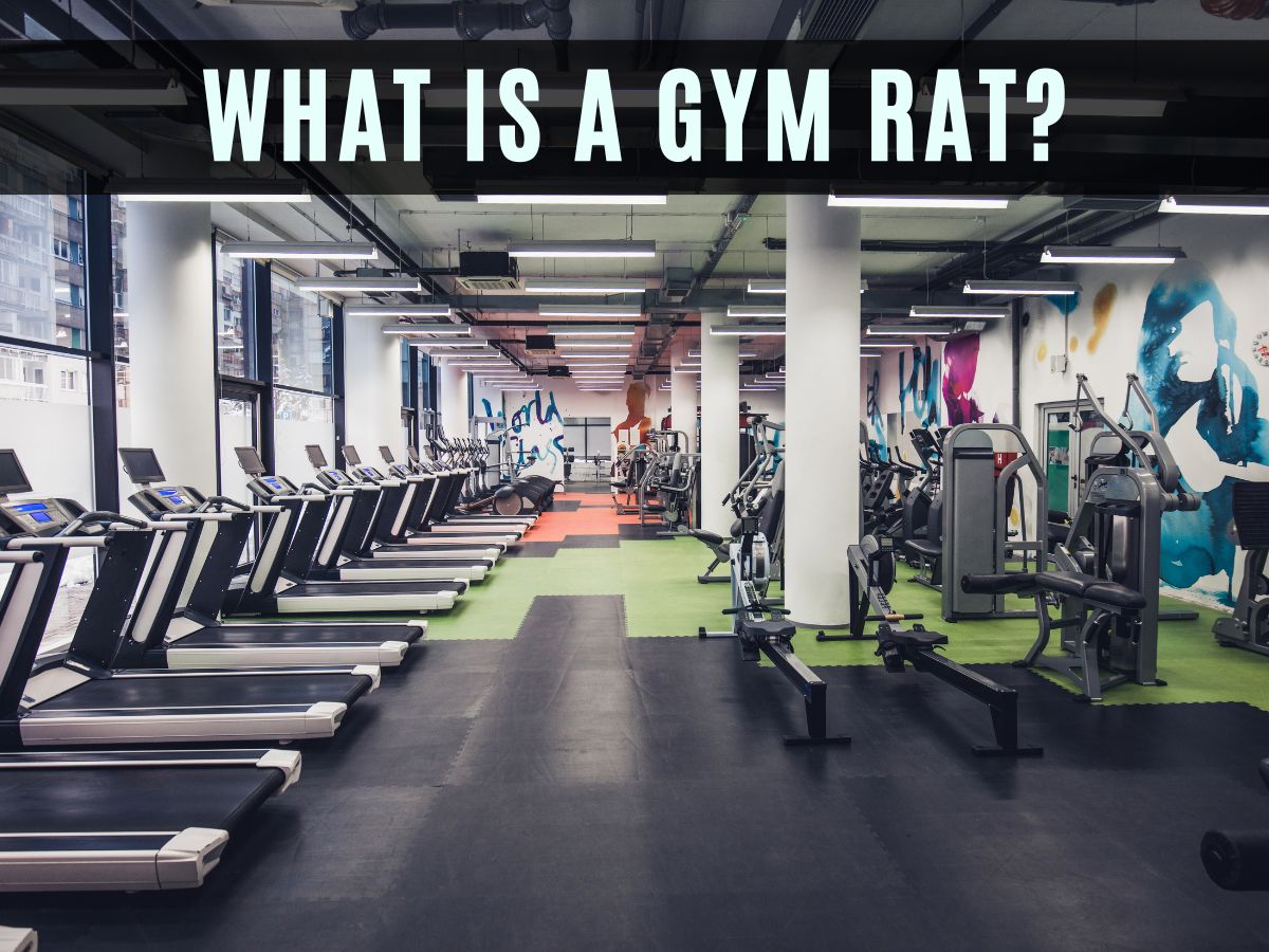 Gym Rat Lifestyle
